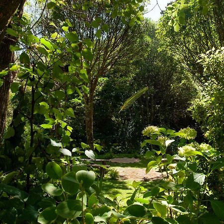 Bed and Breakfast Blythcliffe Akaroa Esterno foto