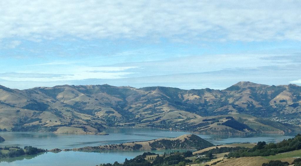 Bed and Breakfast Blythcliffe Akaroa Esterno foto