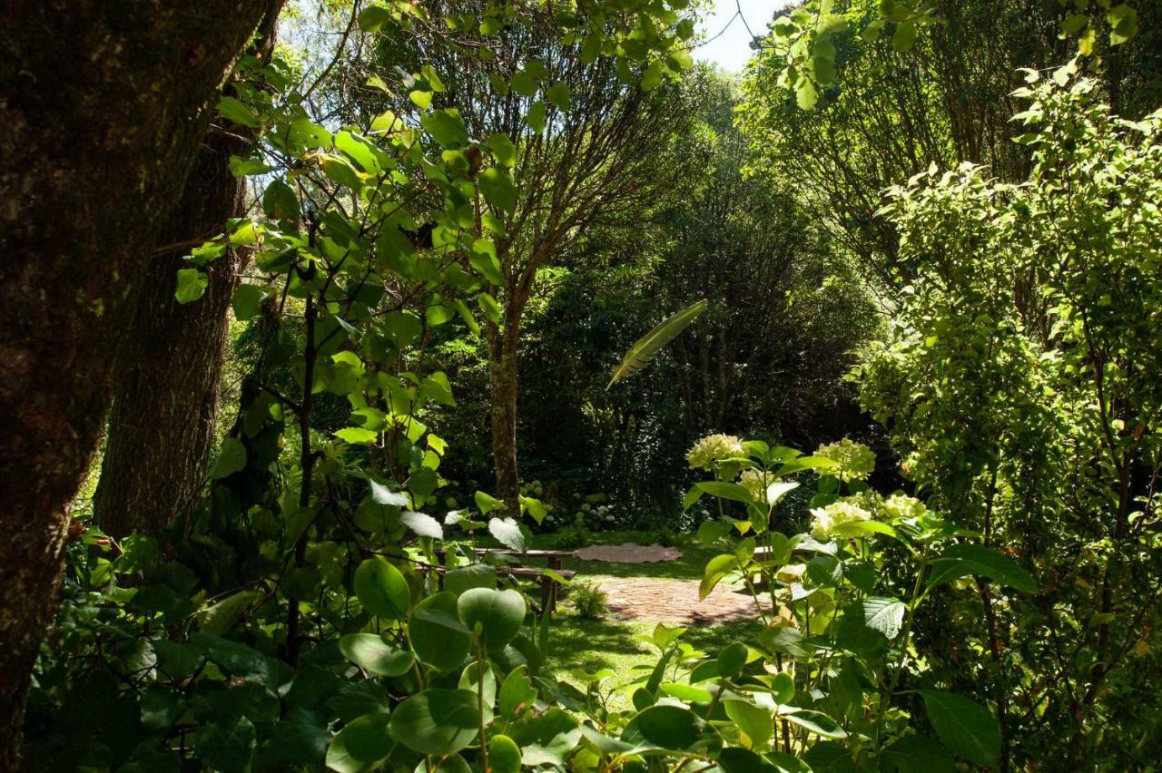 Bed and Breakfast Blythcliffe Akaroa Esterno foto